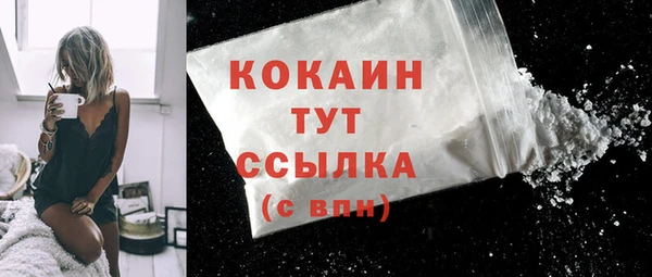 гашик Елизово