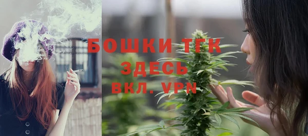 гашик Елизово