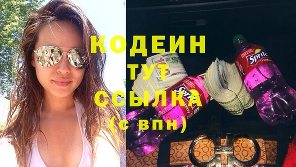 гашик Елизово