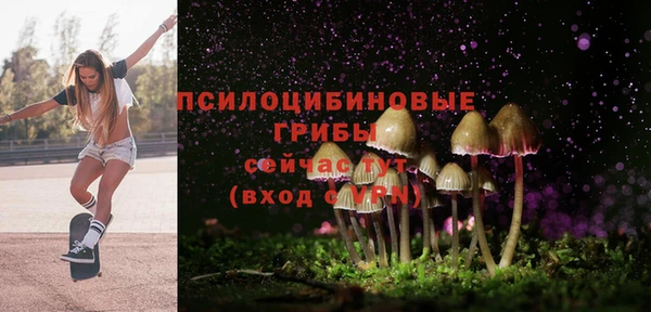 марки lsd Заводоуковск