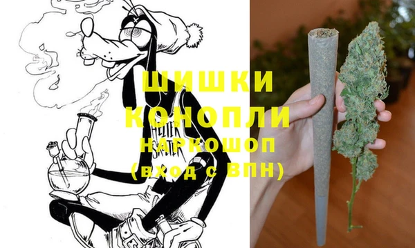 гашик Елизово